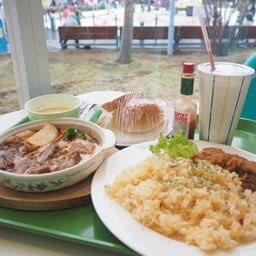 Lagoon Fujikyu