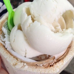 ไอติมมะพร้าวอ่อน