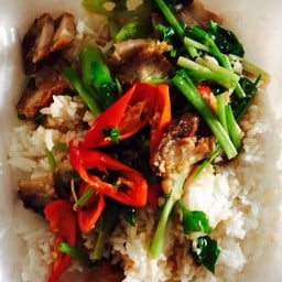 ผัดคื่นช่าย หมูกรอบ ราดข้าว
