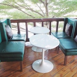 Burgers Bus พลา