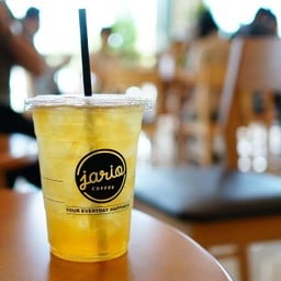 Iced Pure Green Tea