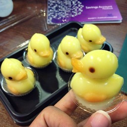 วุ้นเป็ด