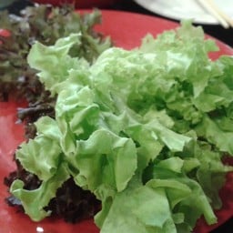 กินเนื้อสัตว์มากๆอาจเลี่ยนได้ ผักสลัดช่วยได้ครับ ห่อเข้าปากเลย