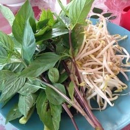 ก๋วยเตี๋ยวโกรวย