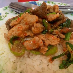 กระเพราหมูหมักตับ 30 บาท