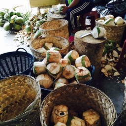 มะพร้าวน้ำหอมทานได้ทั้งลูก