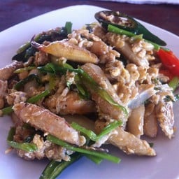 ข้าวแกง ผ.ผึ้ง เพชรบุรี