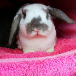 มาเล่นกันเหอะๆ