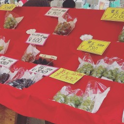 Aoyama Farmers Market