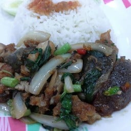 อาหารอิสลาม เดียร์น่า