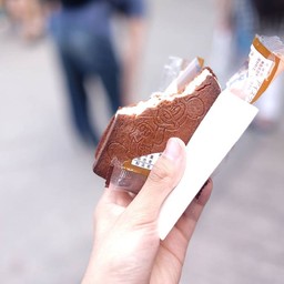 Breezeway Bites Tokyo disneysea