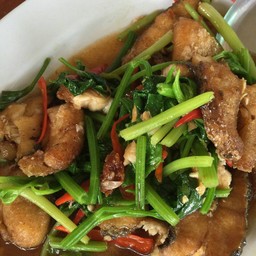 ครัวป้าเมียด อาหารป่า