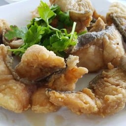 ปลาคังทอดน้ำปลา