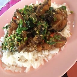 ป้ารี สัพไฟ อาหารตามสั่ง