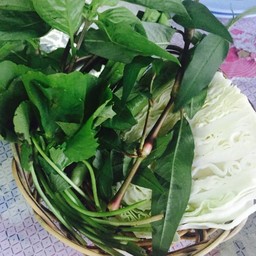 ผักเคียง