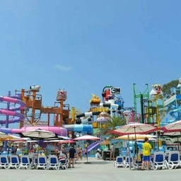 Cartoon Network Amazone Pattaya