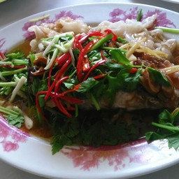 ข้าวมันไก่โกวี
