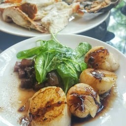 โฮตาเตะตัวใหญ่สดมาก