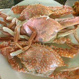 ปูม้านึ่ง