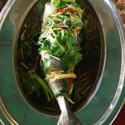 ปลาสำลีญี่ปุ่นนึ่งซีอิ๊ว