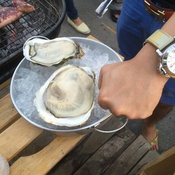 Big Oyster ตัวใหญ่มาก