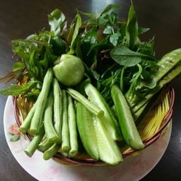 ผักสดมาเสิร์ฟก่อนเลย