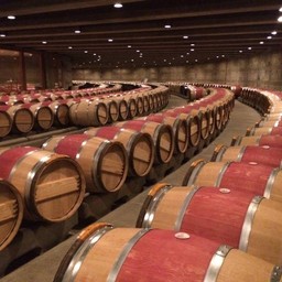 Opus One Winery