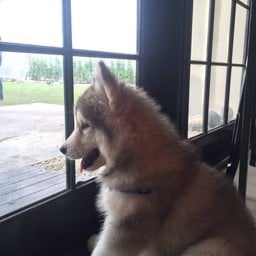 เพลินจิตรอเพื่อนๆอยู่นะคับ