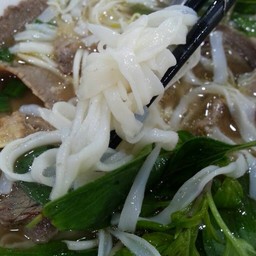 เส้นออกนิ่ม