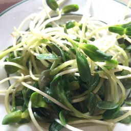 ตะวันปลอดสารเพาะเอง