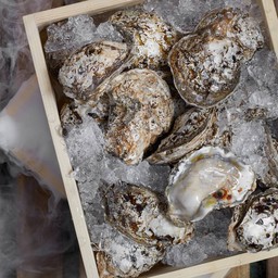 “หอยนางรมยักษ์” (125.-)