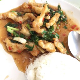 ปลาผัดโหระพา 35.-