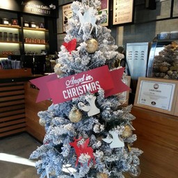 ต้นคริสต์มาส