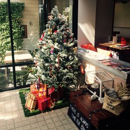 Welcome Festive Season