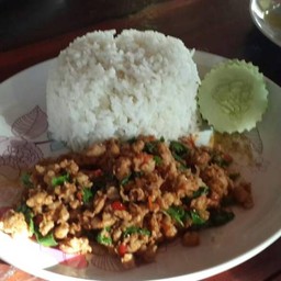 สุขุมไม้เก่า