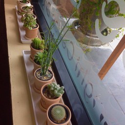 ของตกแต่ง