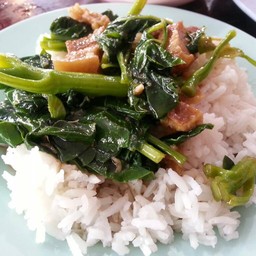 แกงใต้ ท่าทราย