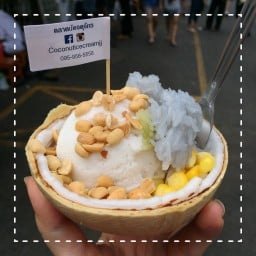 coconut icecream jj สวนจตุจักร