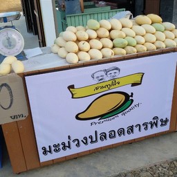 เลี้ยวเพราะมะม่วงเลย