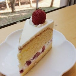 Sip & Work  มหาวิทยาลัยแม่ฟ้าหลวง