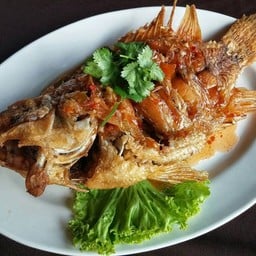 แพอาหารบ้านเหนือ
