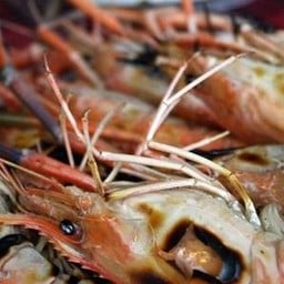 กุ้งเผาริมทาง