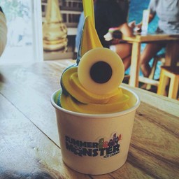 Summer Monster Pitlok