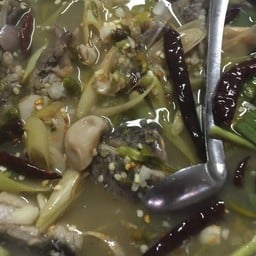 ต้มยำปลาช่อน