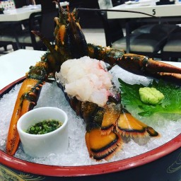 LOBSTER SASHIMI