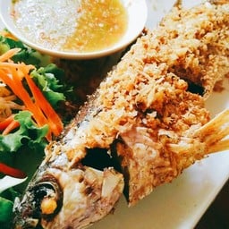 สวนกล้วยไม้