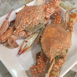 ปูม้านึ่งครึ่งกิโล ราคา 500บาทคะ