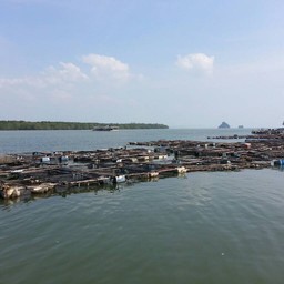 วิวมองจากร้าน