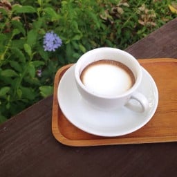 FiiLCafe