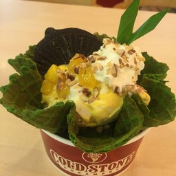 เทศกาลมะม่วงต้องมา